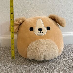Stevon the Golden Retriever Squishmallow - 8 inches